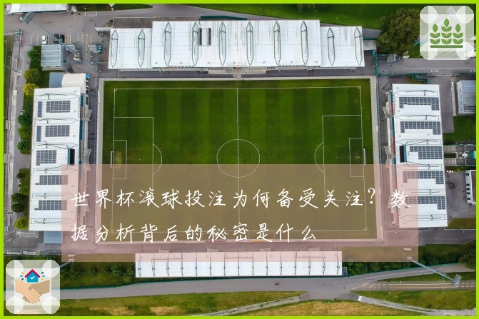 世界杯滚球投注为何备受关注？数据分析背后的秘密是什么