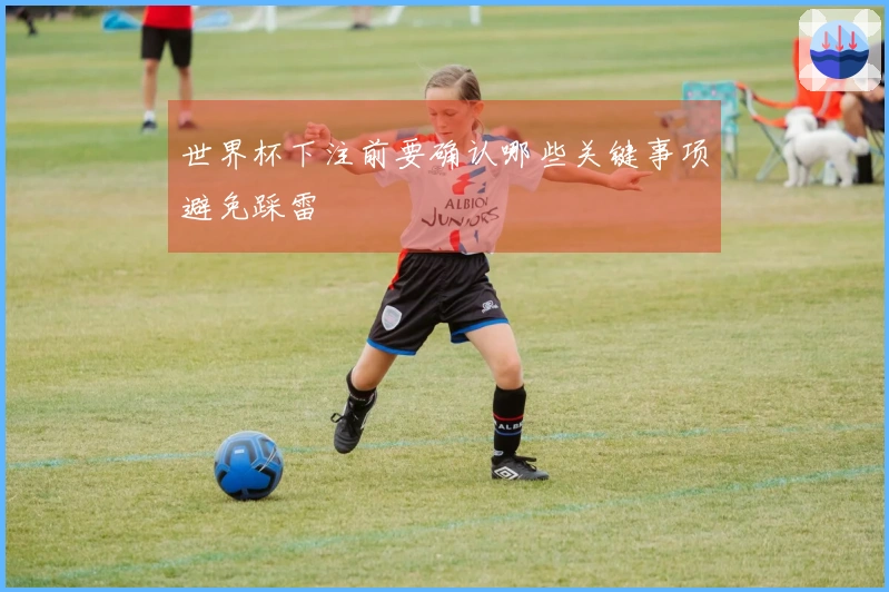 世界杯下注前要确认哪些关键事项避免踩雷