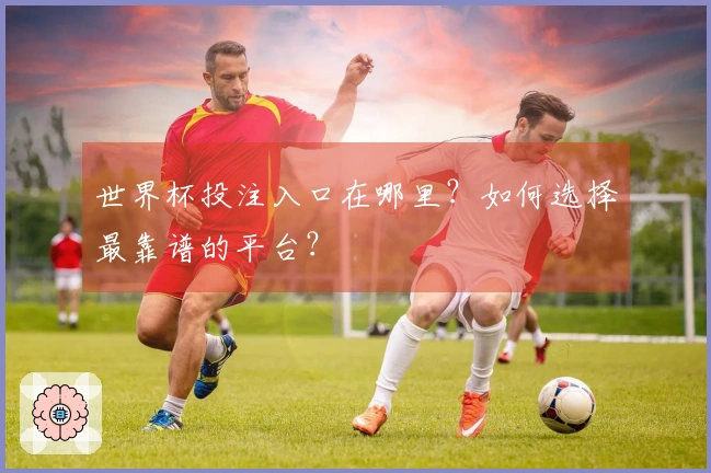 世界杯投注入口在哪里？如何选择最靠谱的平台？